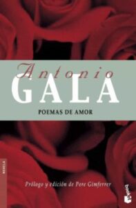 Poemas De Amor