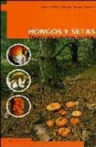 Hongos Y Setas: Tesoro De Nuestros Montes