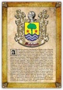 Apellido Mohedano / Origen, Historia Y Heráldica De Los Linajes Y Apellidos Españoles E Hispanoamericanos