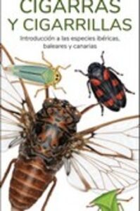 Cigarras Y Cigarrillas – Guias Desplegables Tundra