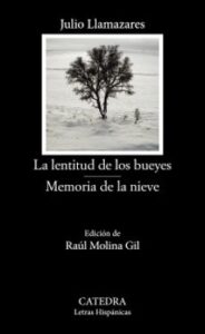 La Lentitud De Los Bueyes; Memoria De La Nieve